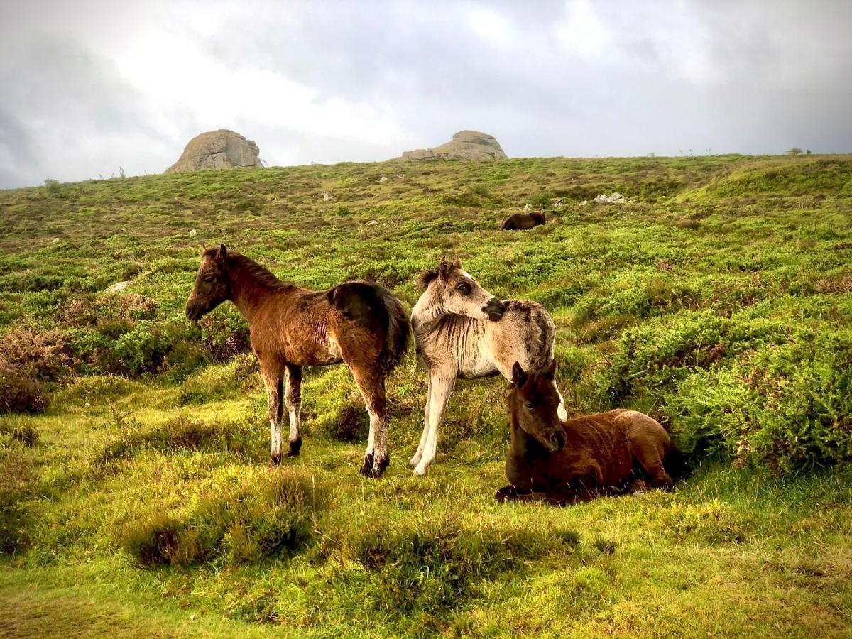 Haytor Court, Haytor, Dartmoor Exterior foto