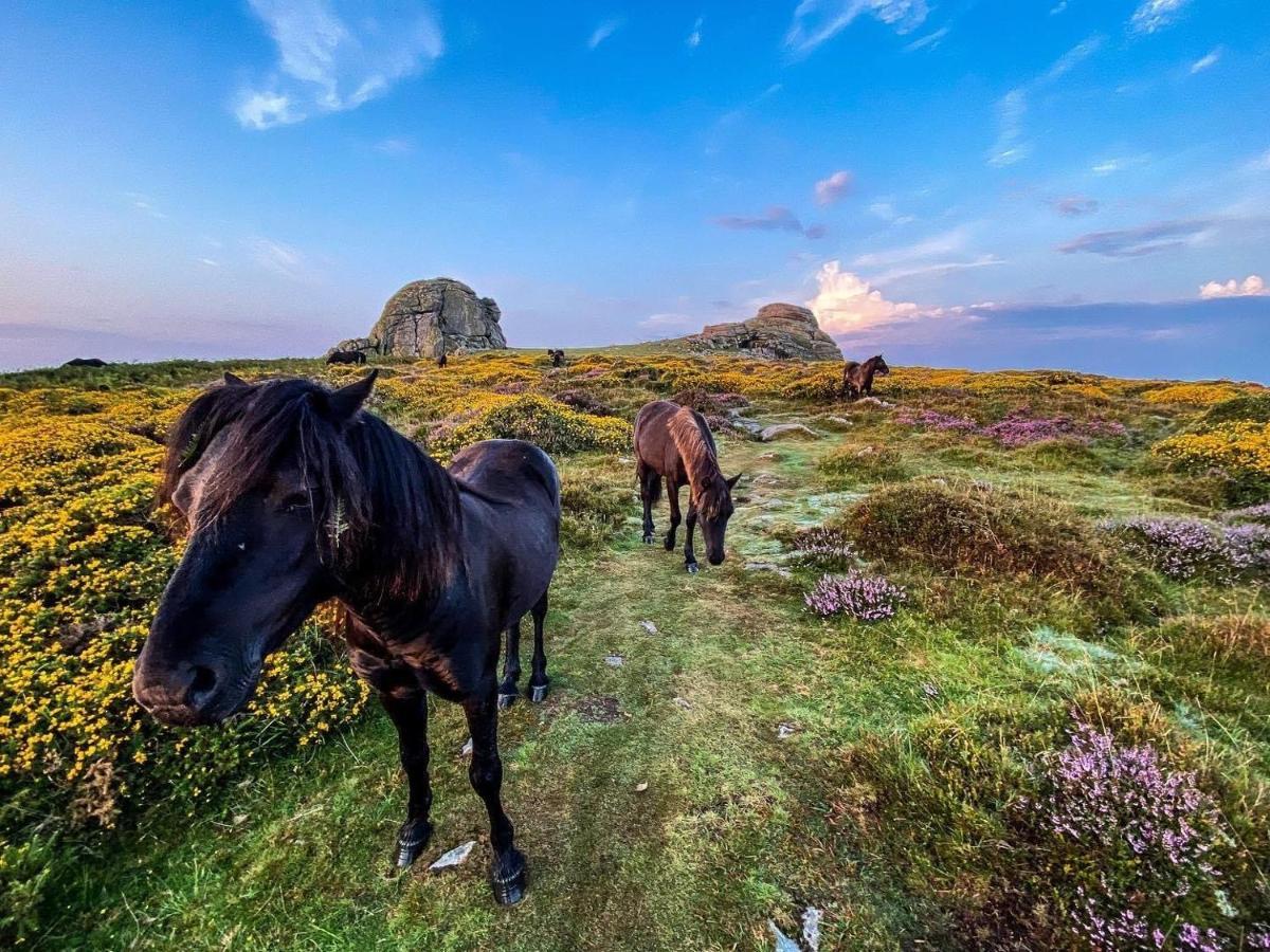 Haytor Court, Haytor, Dartmoor Exterior foto